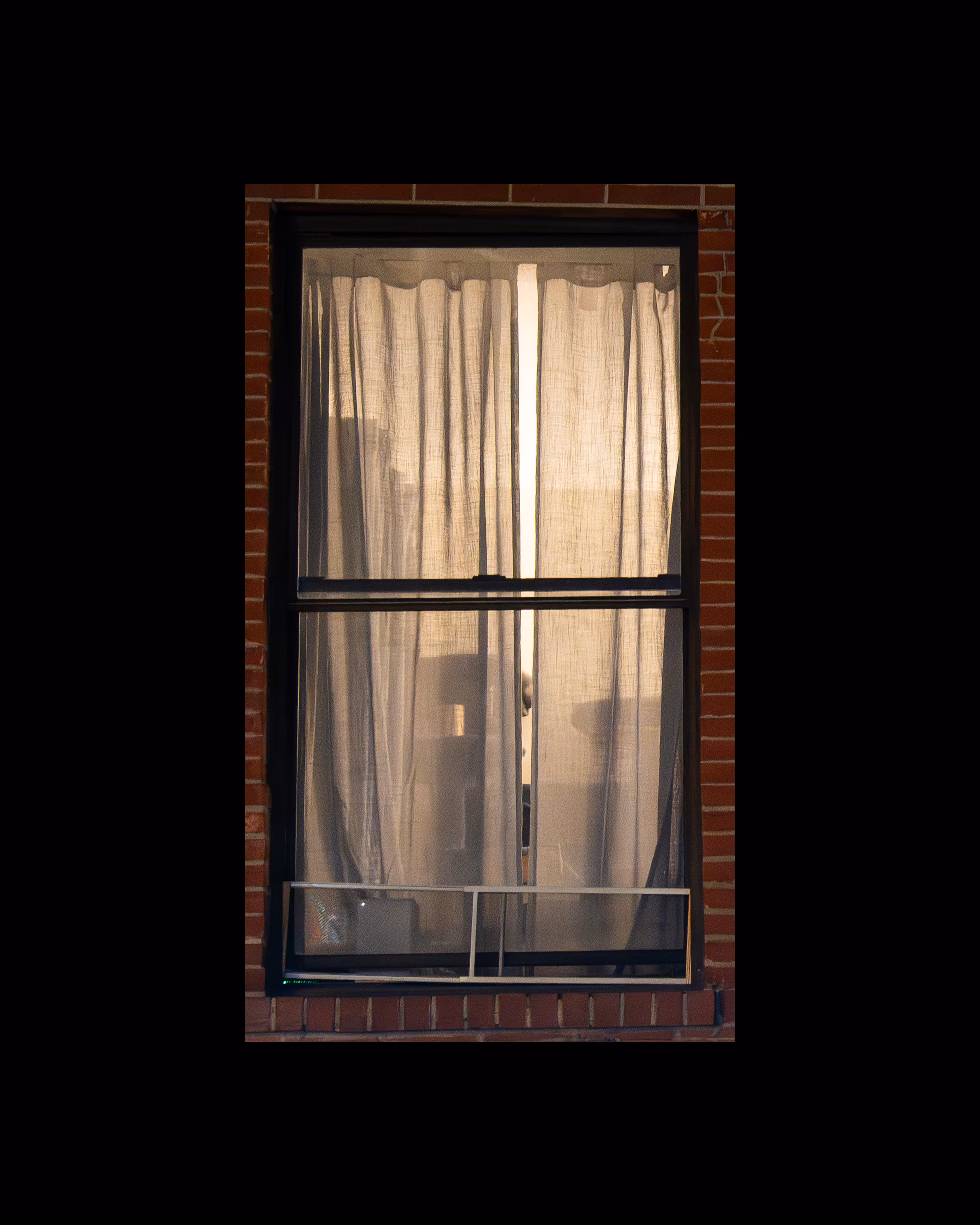 WINDOW 91