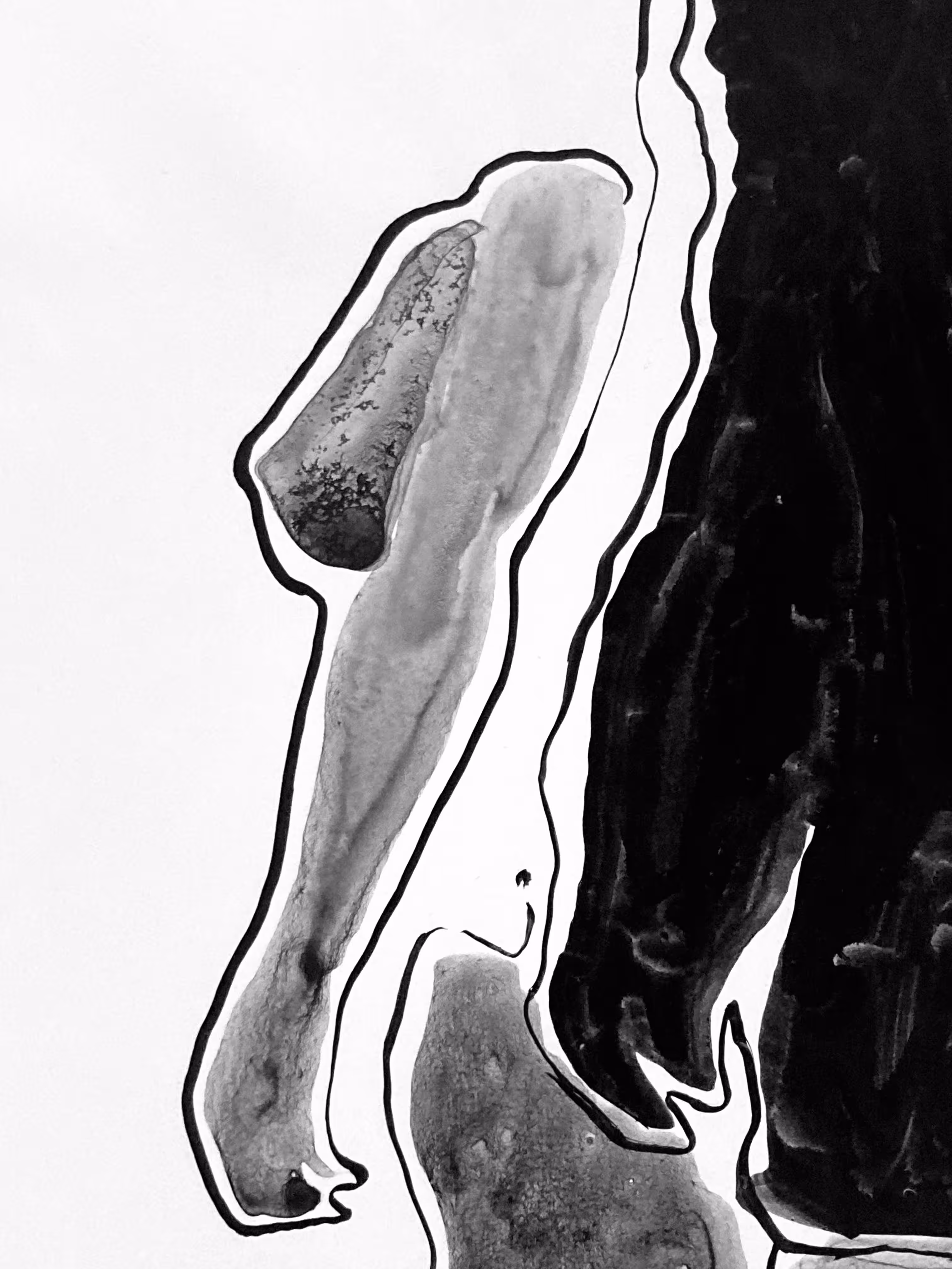 INK & MY HAND: Note