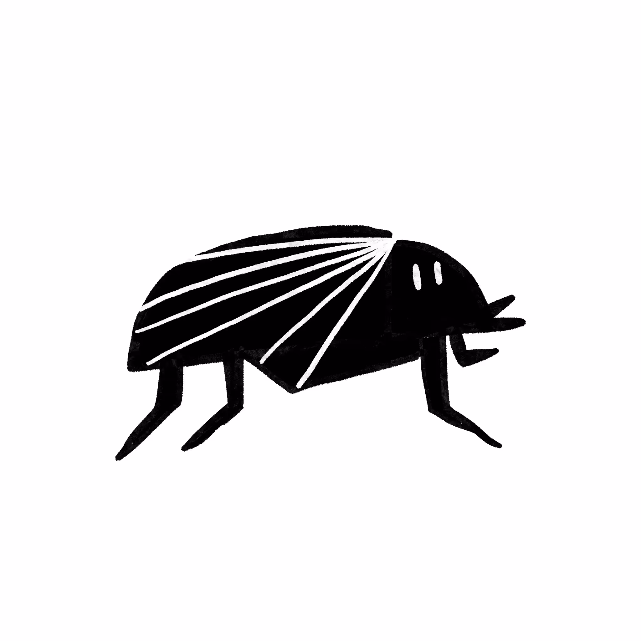 Beetle