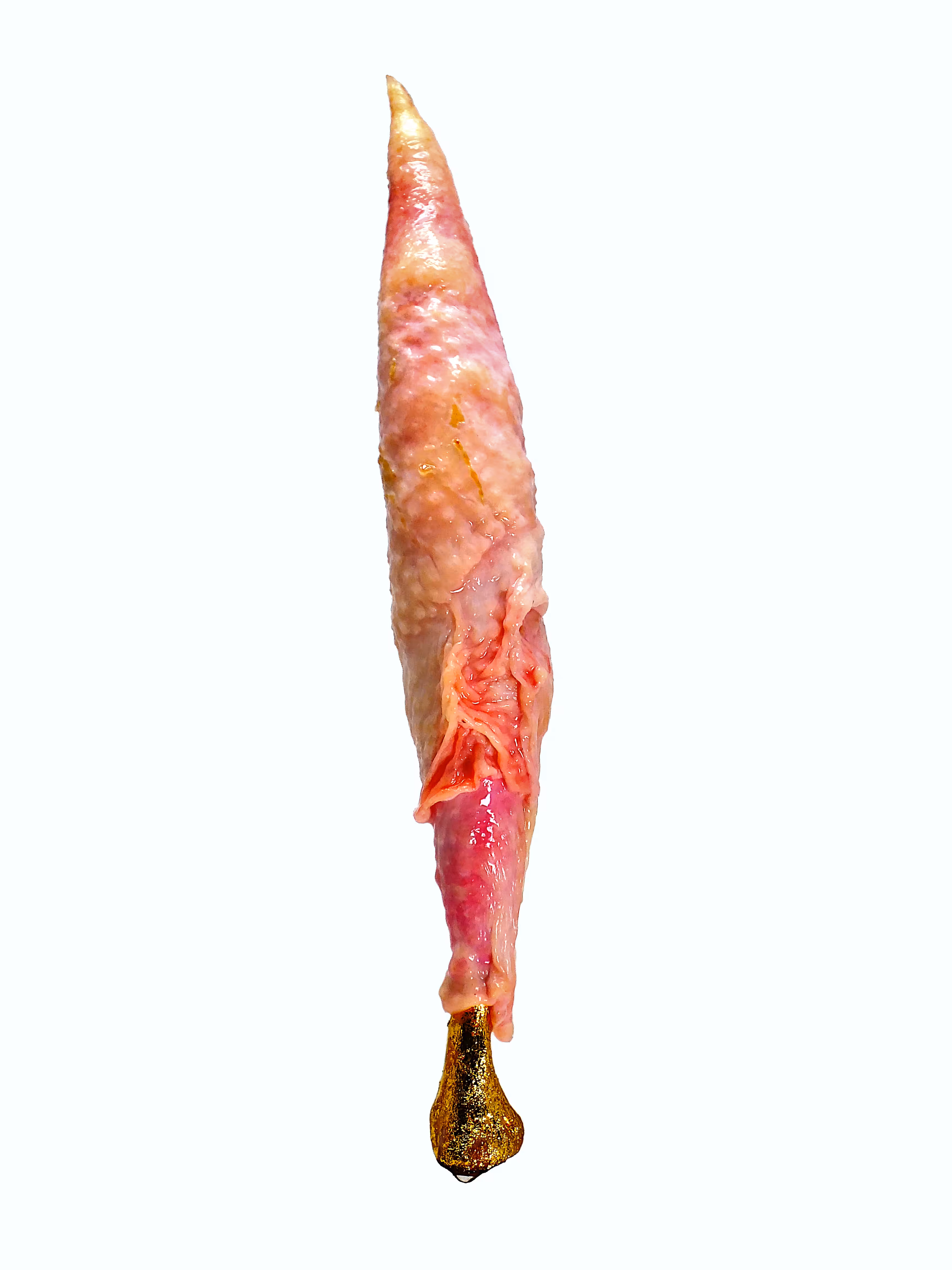 BIRD IN SPACE (After Brancusi)