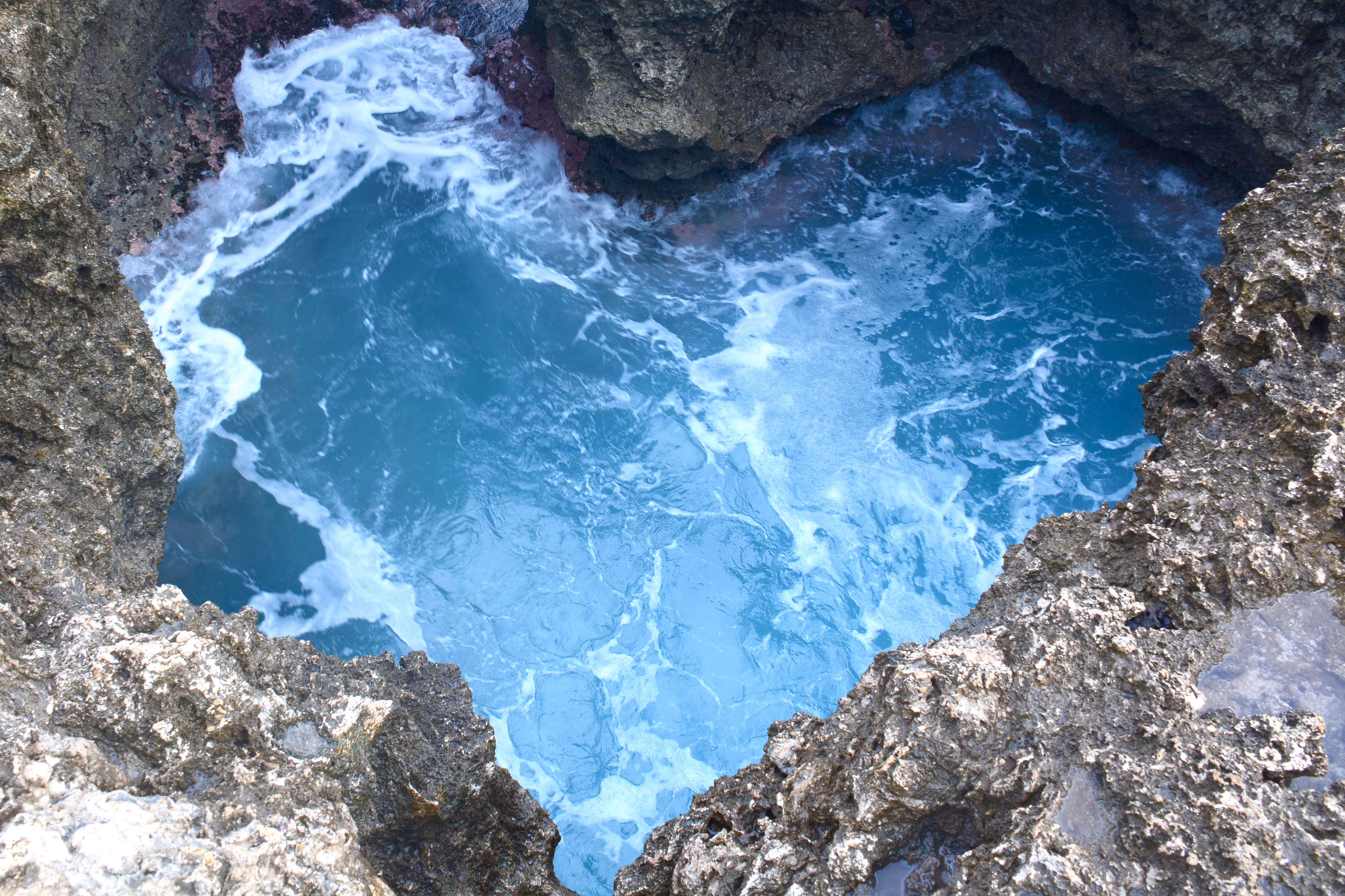 Ocean Heart