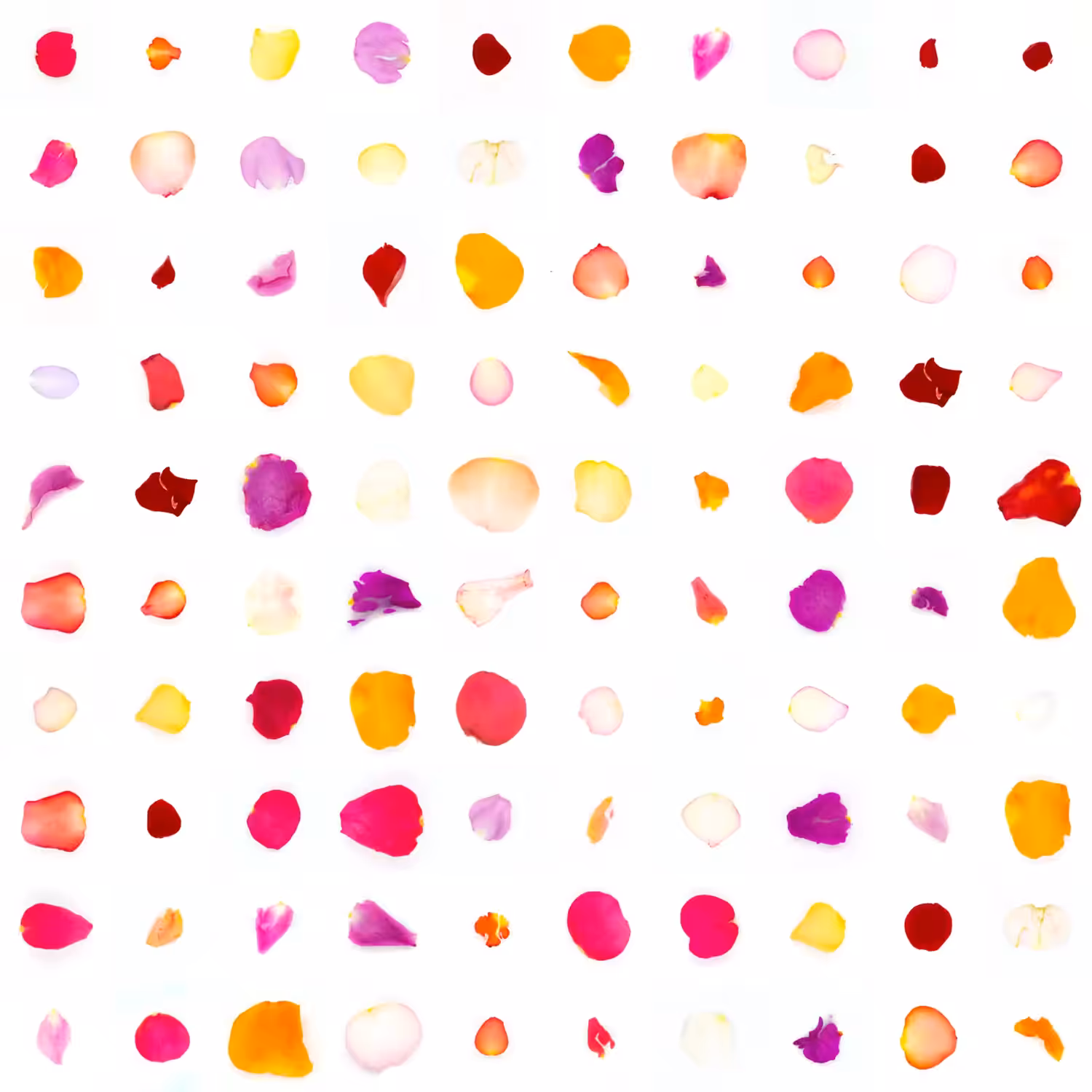 Infinite Petals 10x10#10148
