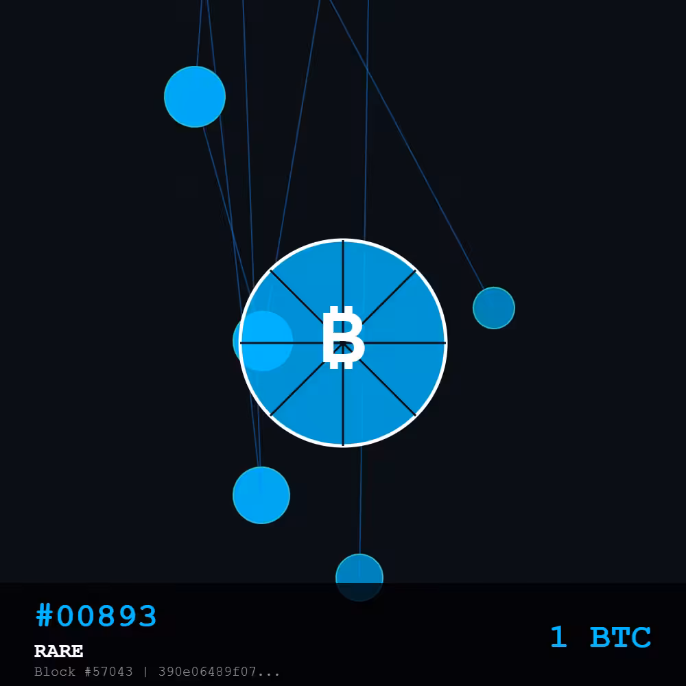 🍕Bitcoin Pizza Genesis: 10K — RARE Edition #00893 | The Day Bitcoin Bought Pizza#00893