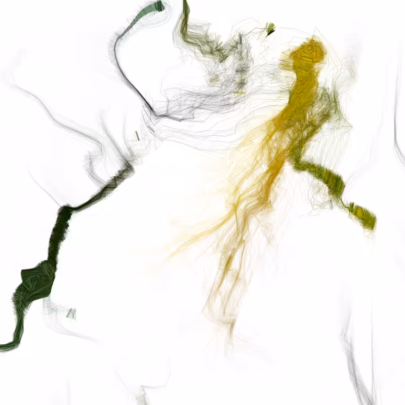 Hypericum #48