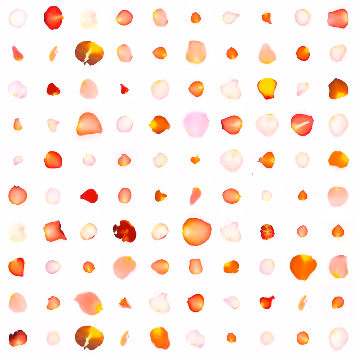 Infinite Petals 10x10#3397