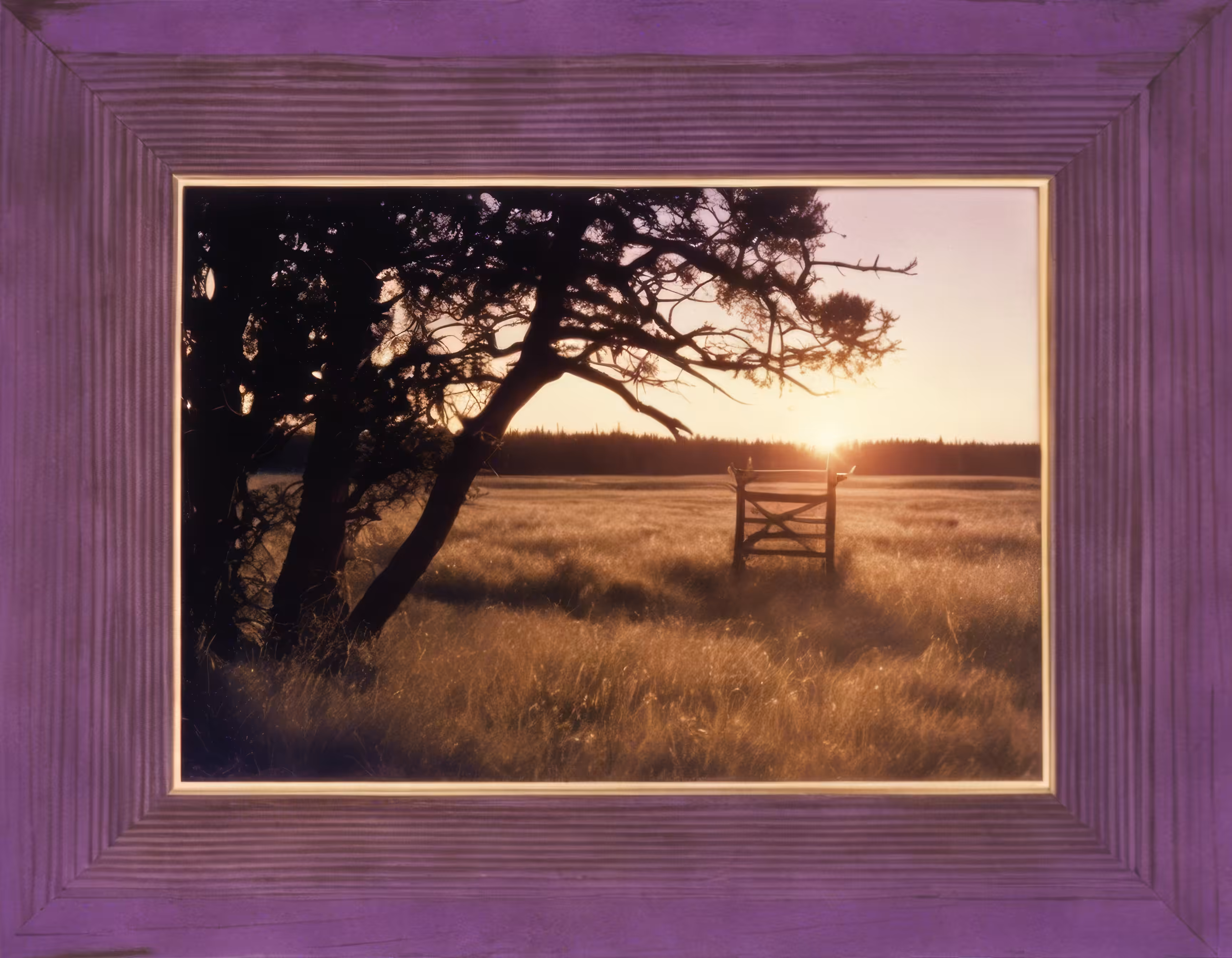 Frame 317/1000