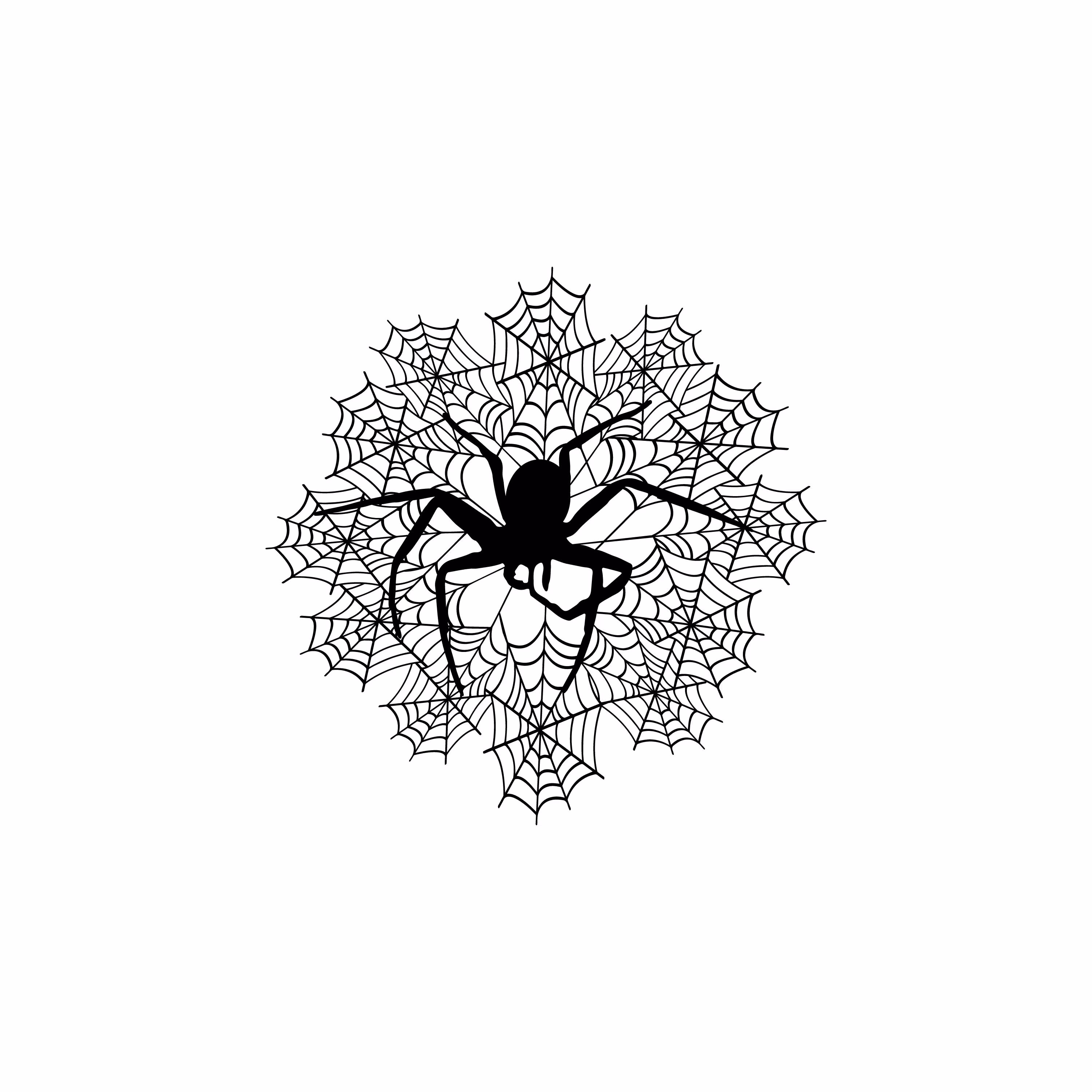 SPIDER LIFE