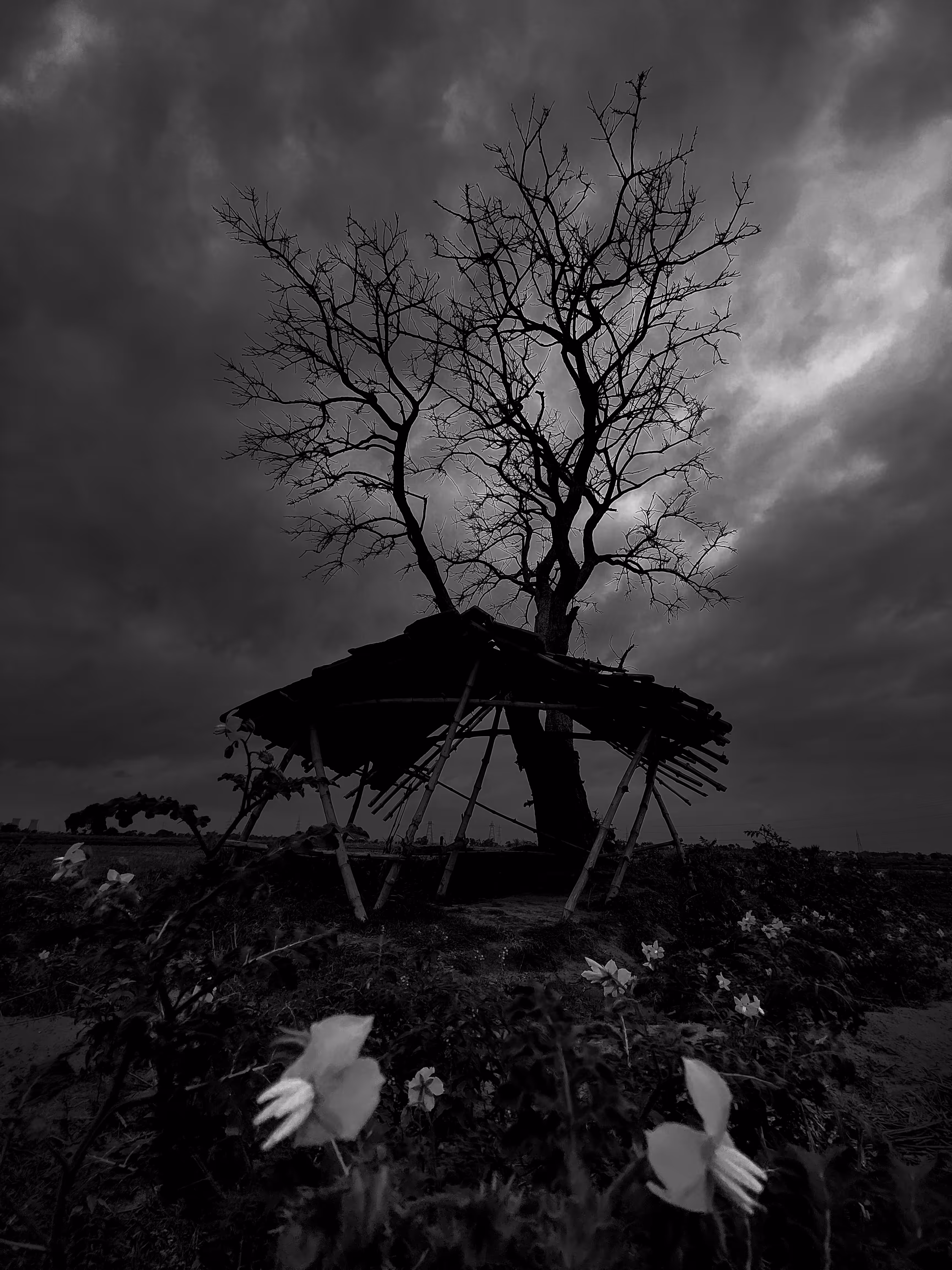 Phantom’s Dwelling