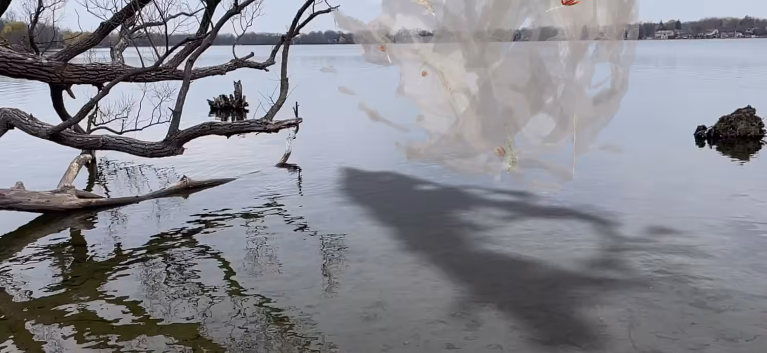 Sea Foam AR