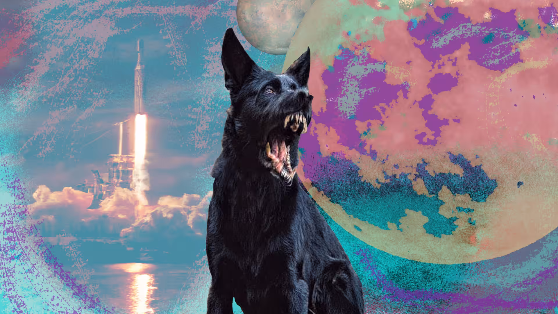 Bark at the Moon