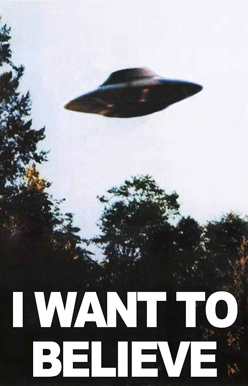 I WANT TO BELIEVE