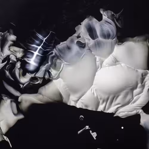 The Petri Dish project - Ontogenesis 05 #1