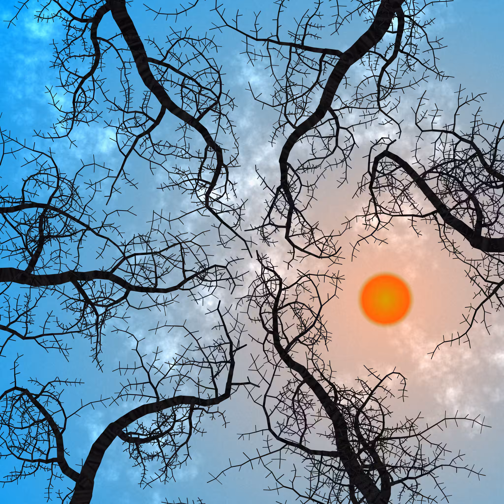 Tree Skyness #178