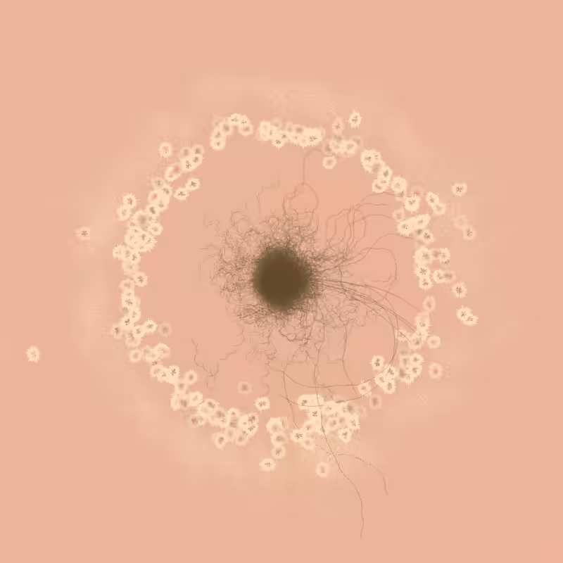 Whirlwind Blossom #80