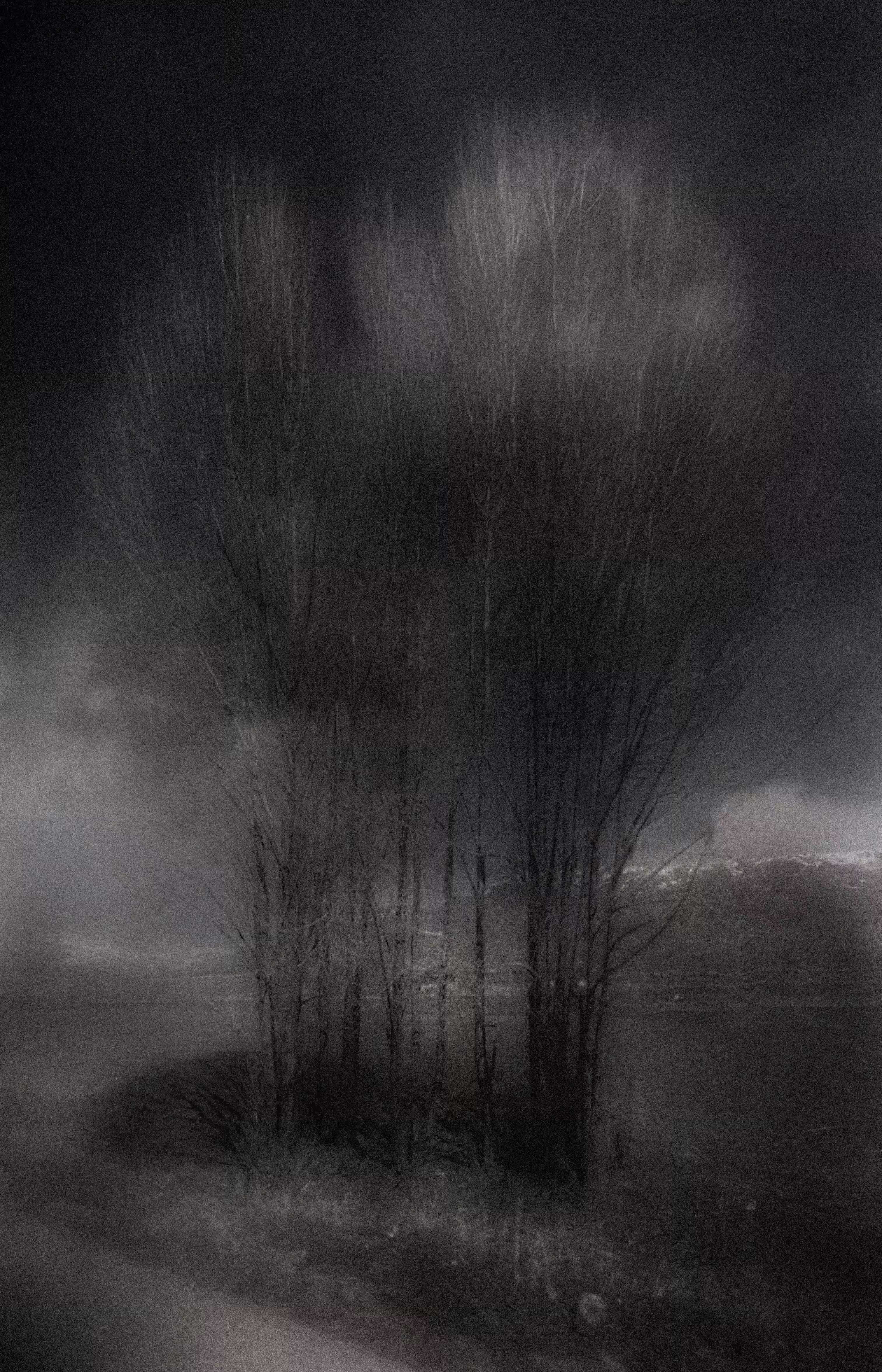 Shadow Archetype