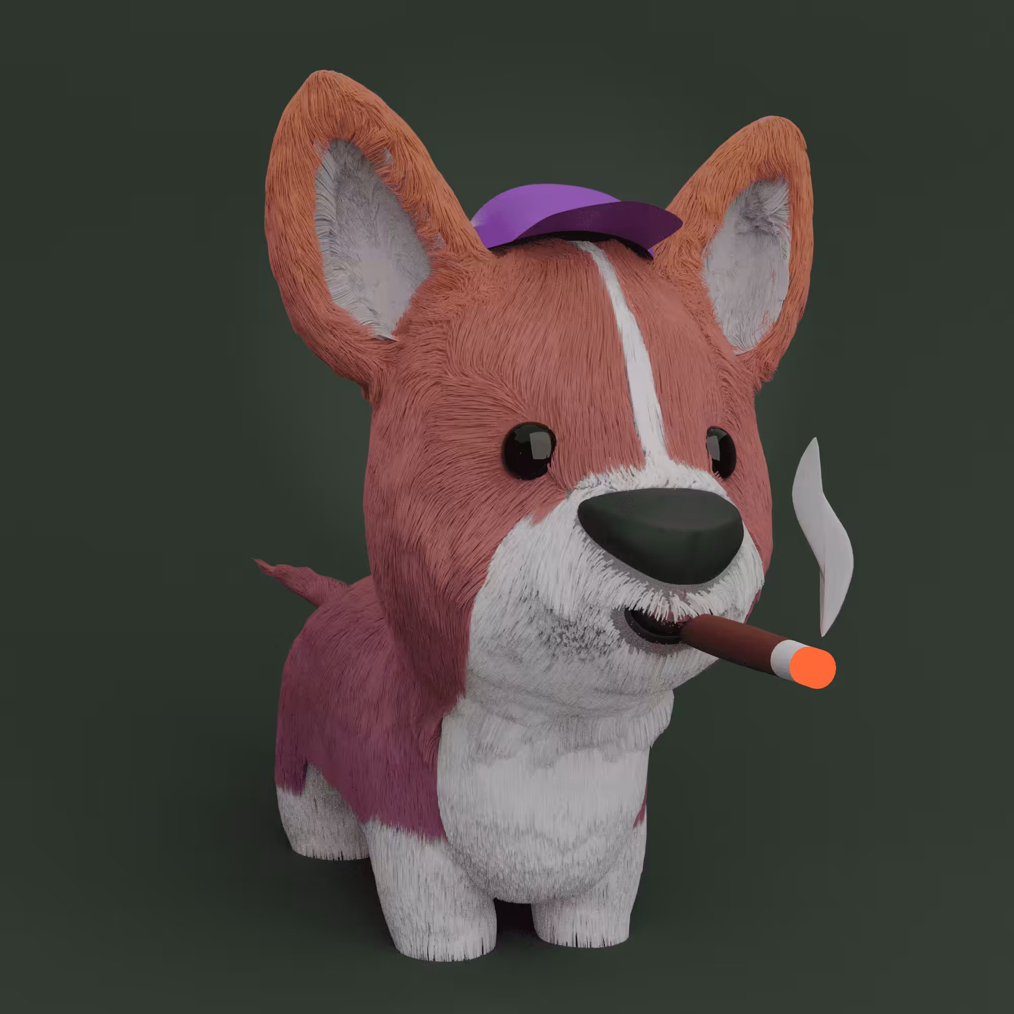 3DCorgi #10