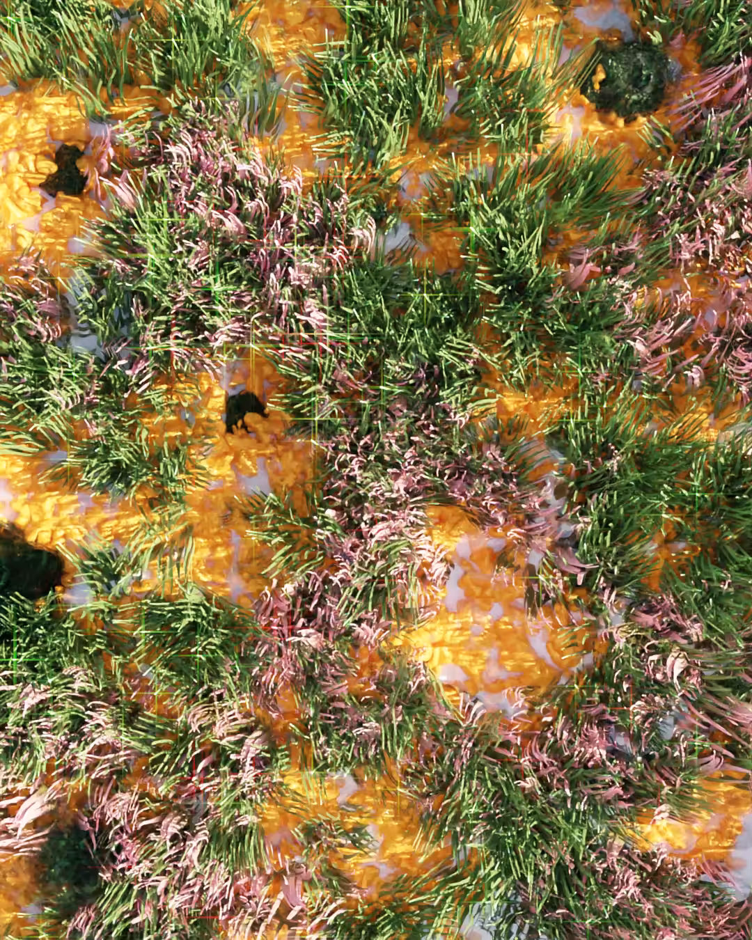 procedural field