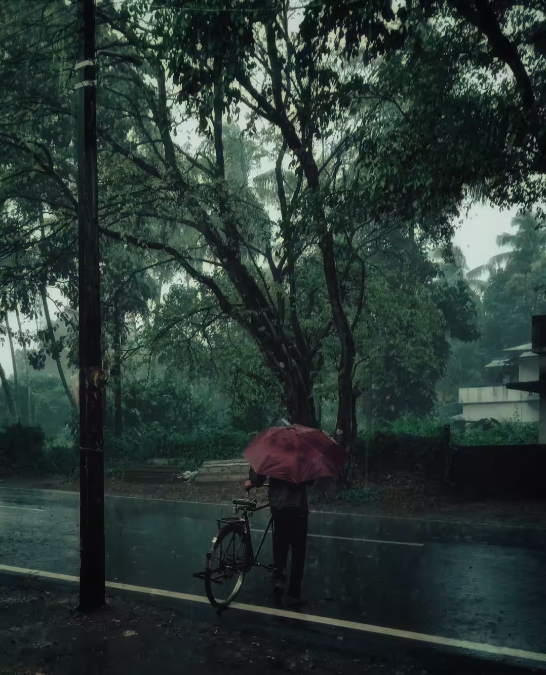 Alone