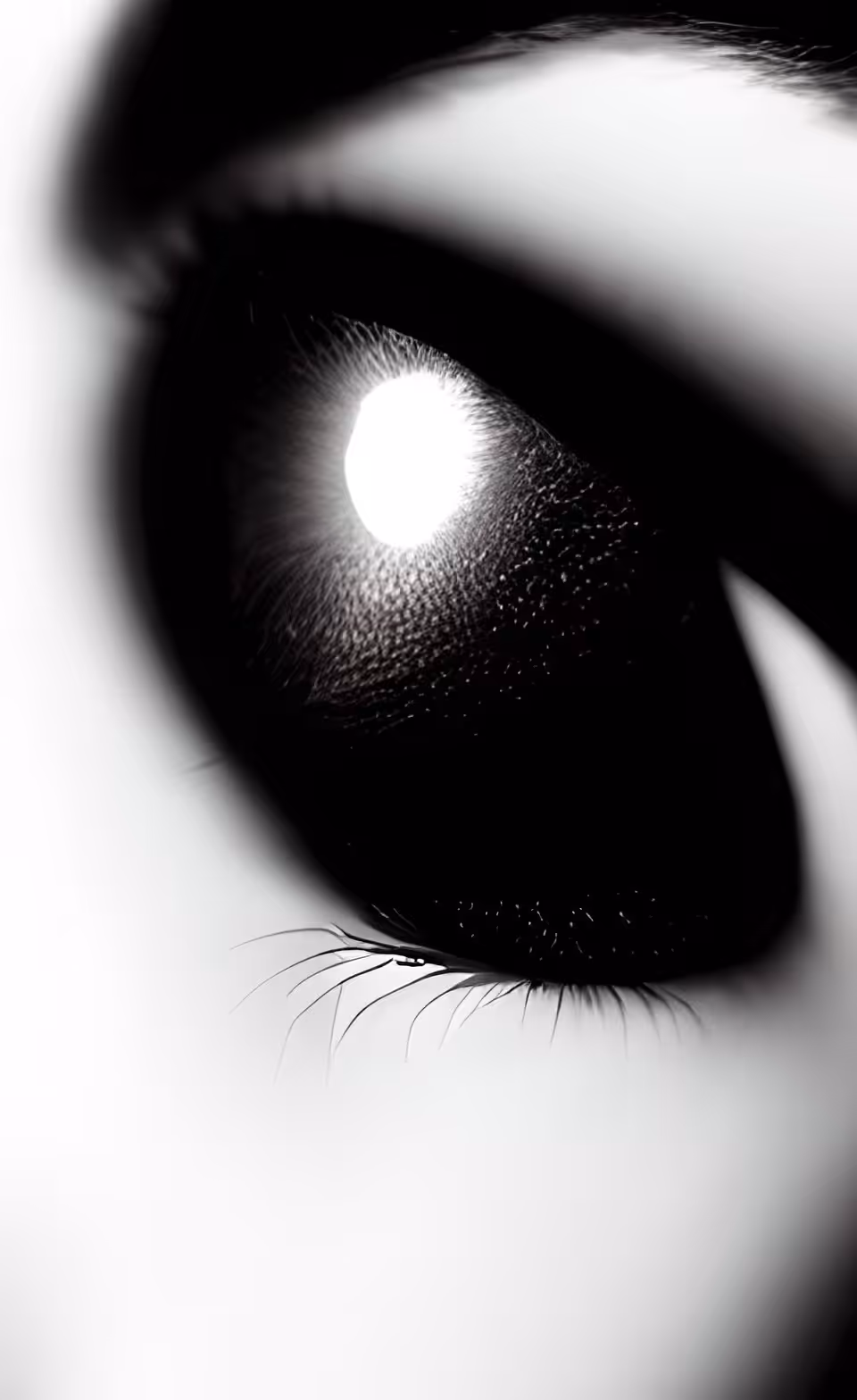 AI for an EYE - #05 - Multifacet
