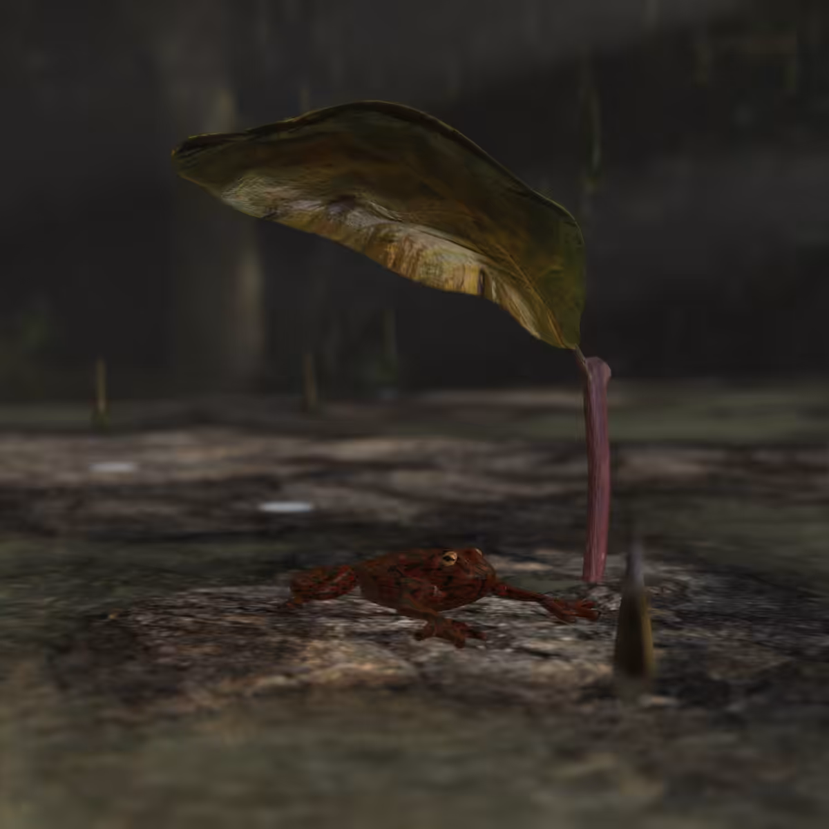 Seeking shelter