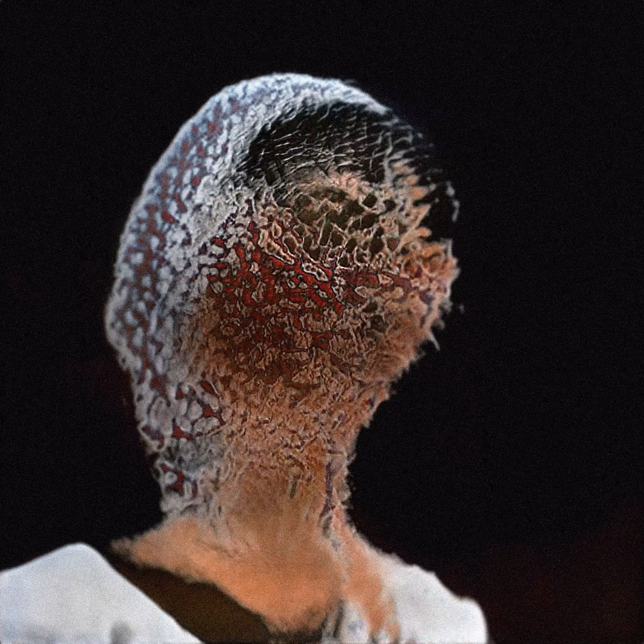 The Ancestors #008