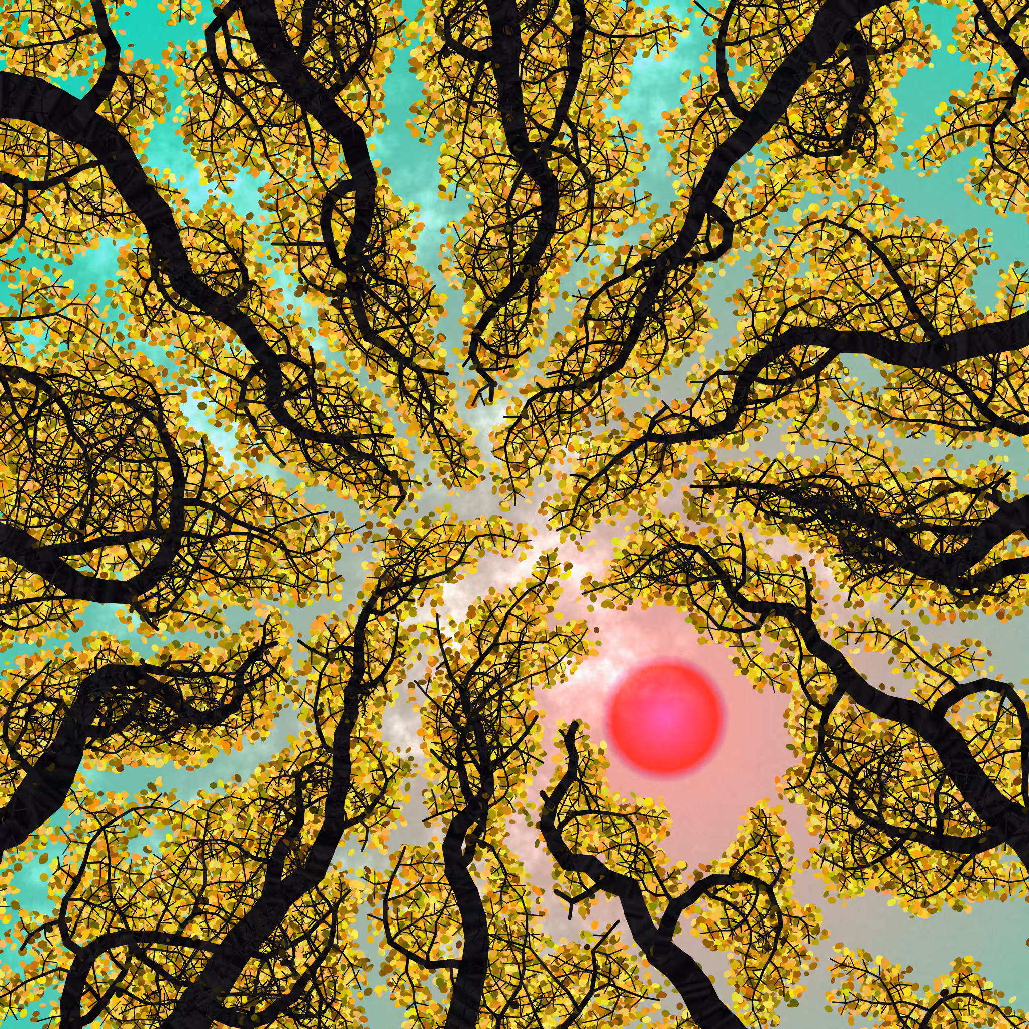 Tree Skyness #133