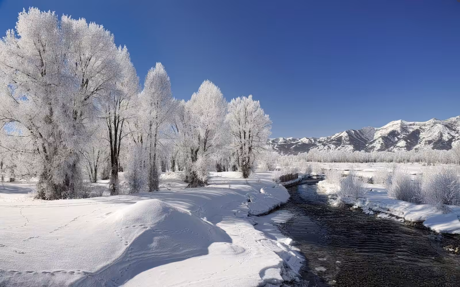cristal land