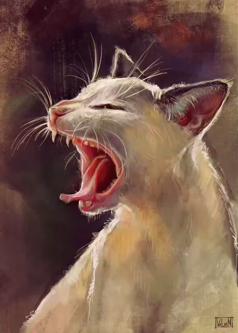 GMEOW WIP