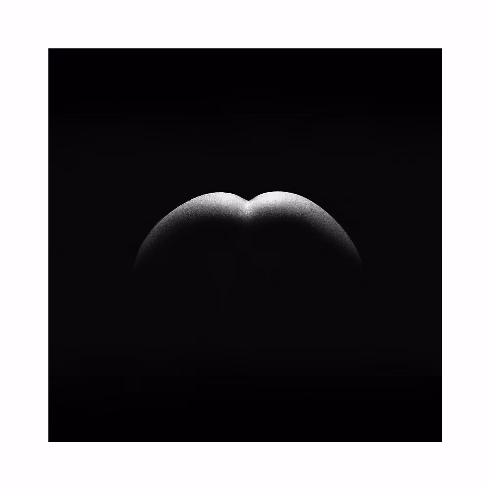 The Moon Rise