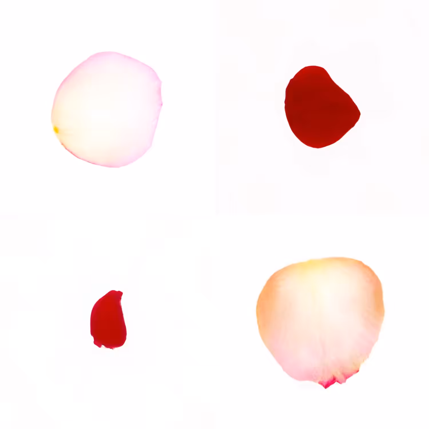 Infinite Petals 2x2#20156