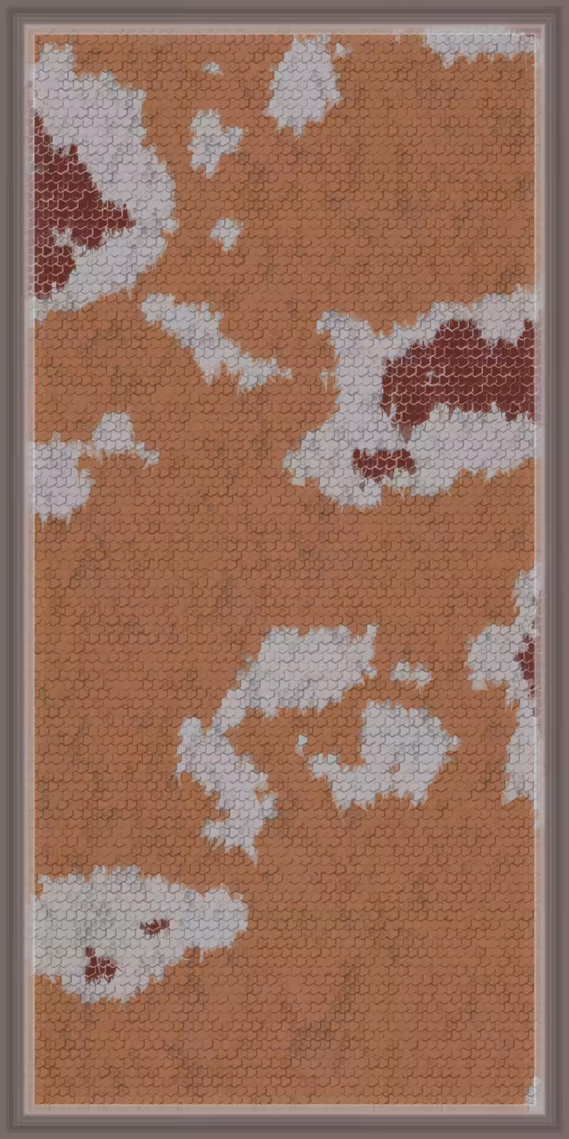 Glimpse Of Draeconian Epidermis & Tapestry #193
