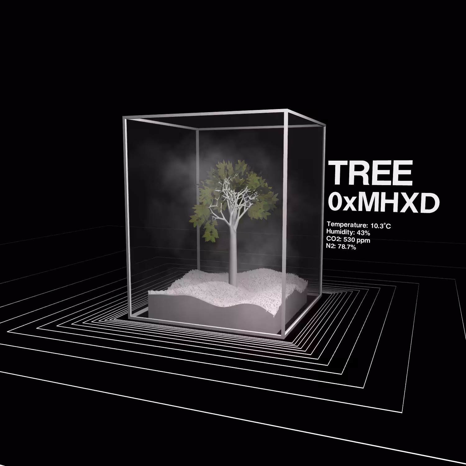 TREES #10