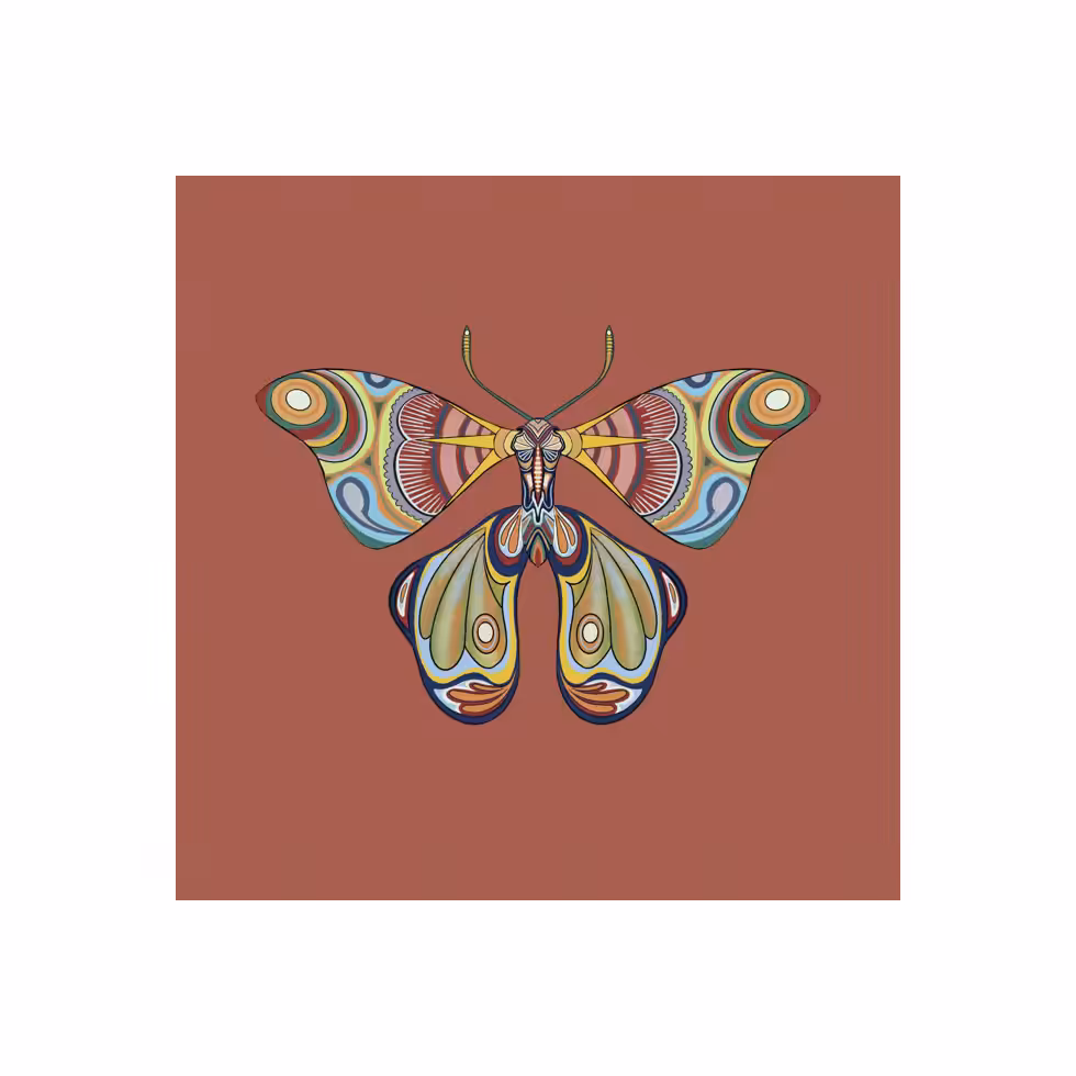 The Moth Experiment  #17
