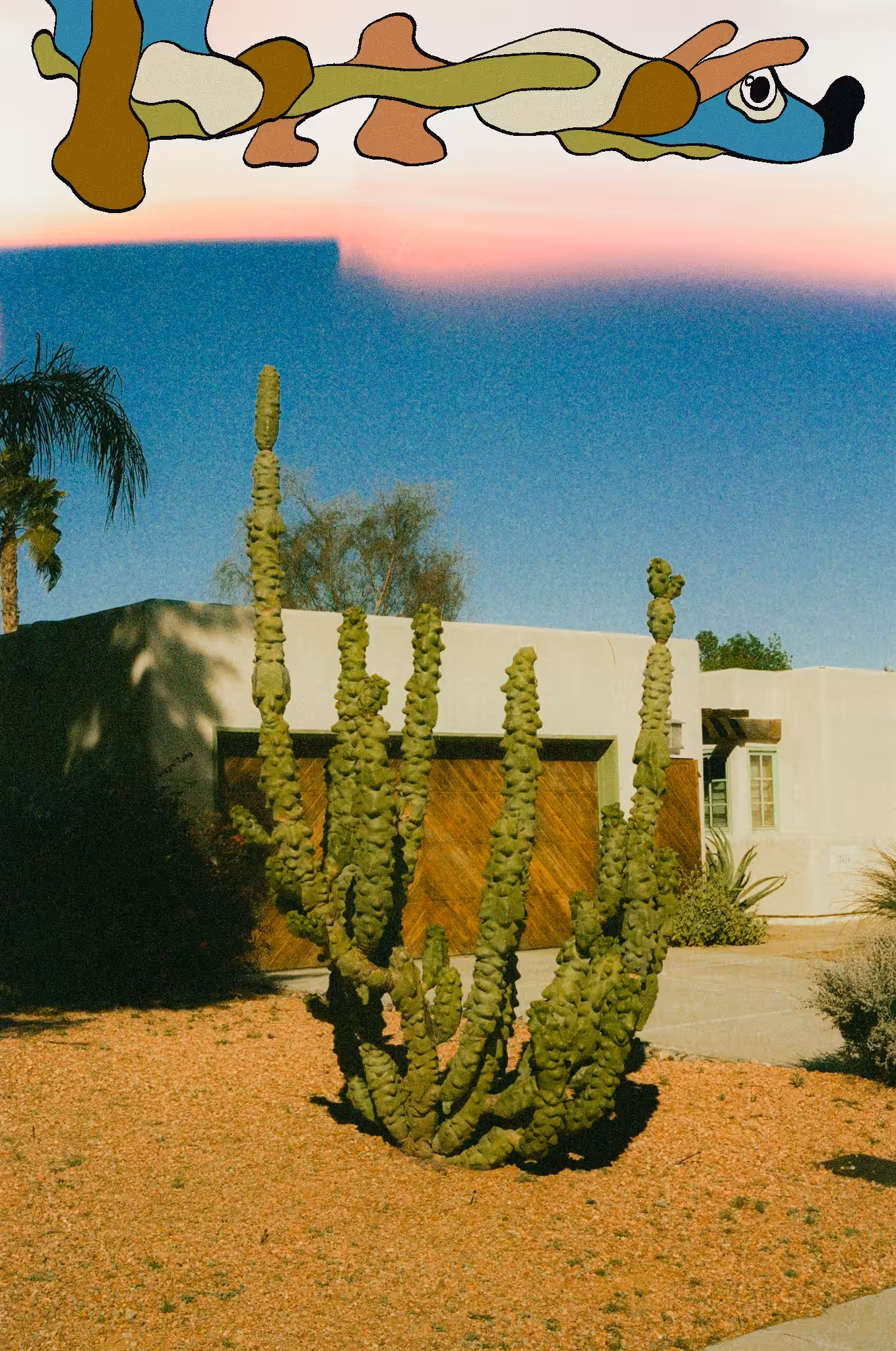 Arizona Worm