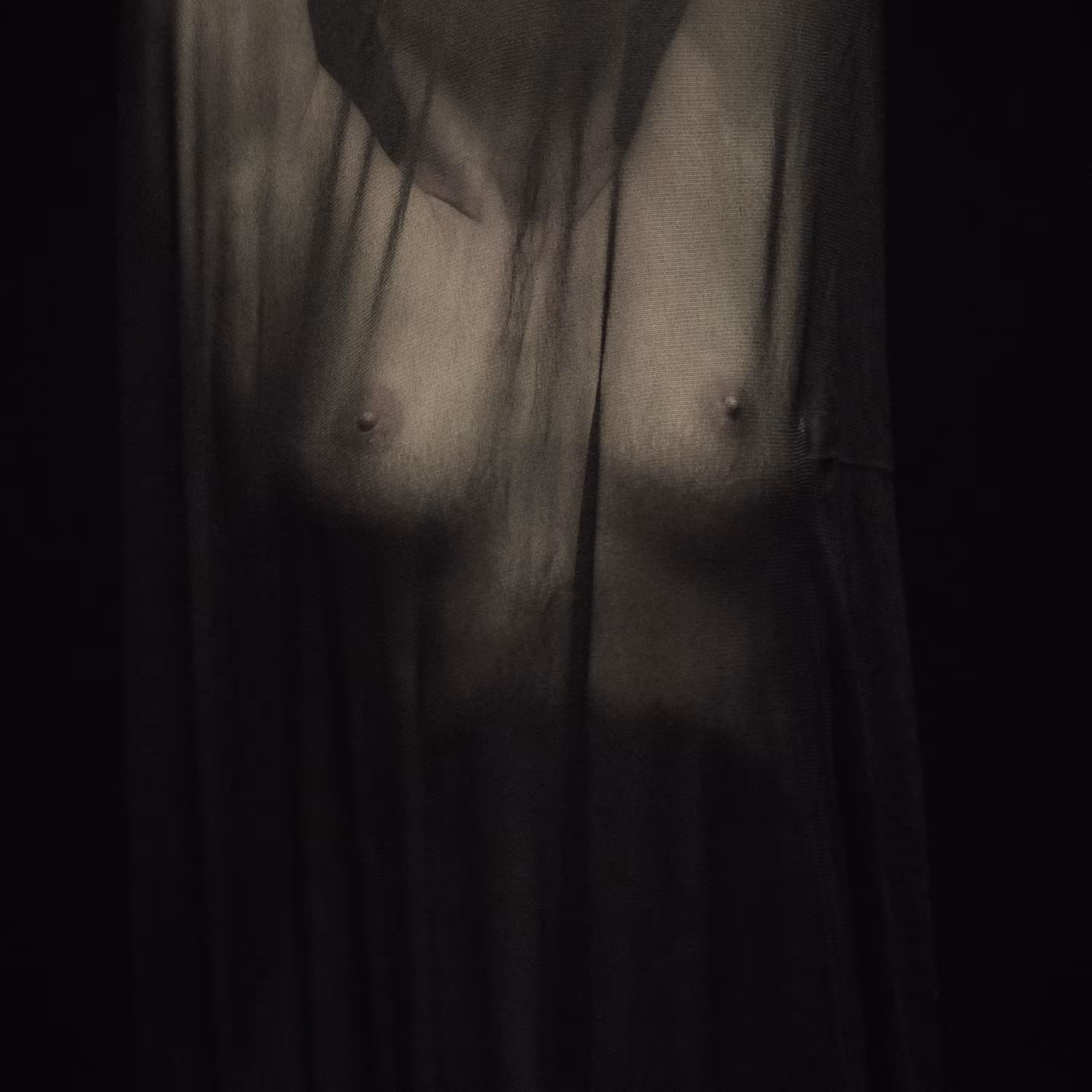 that OMG: Torso