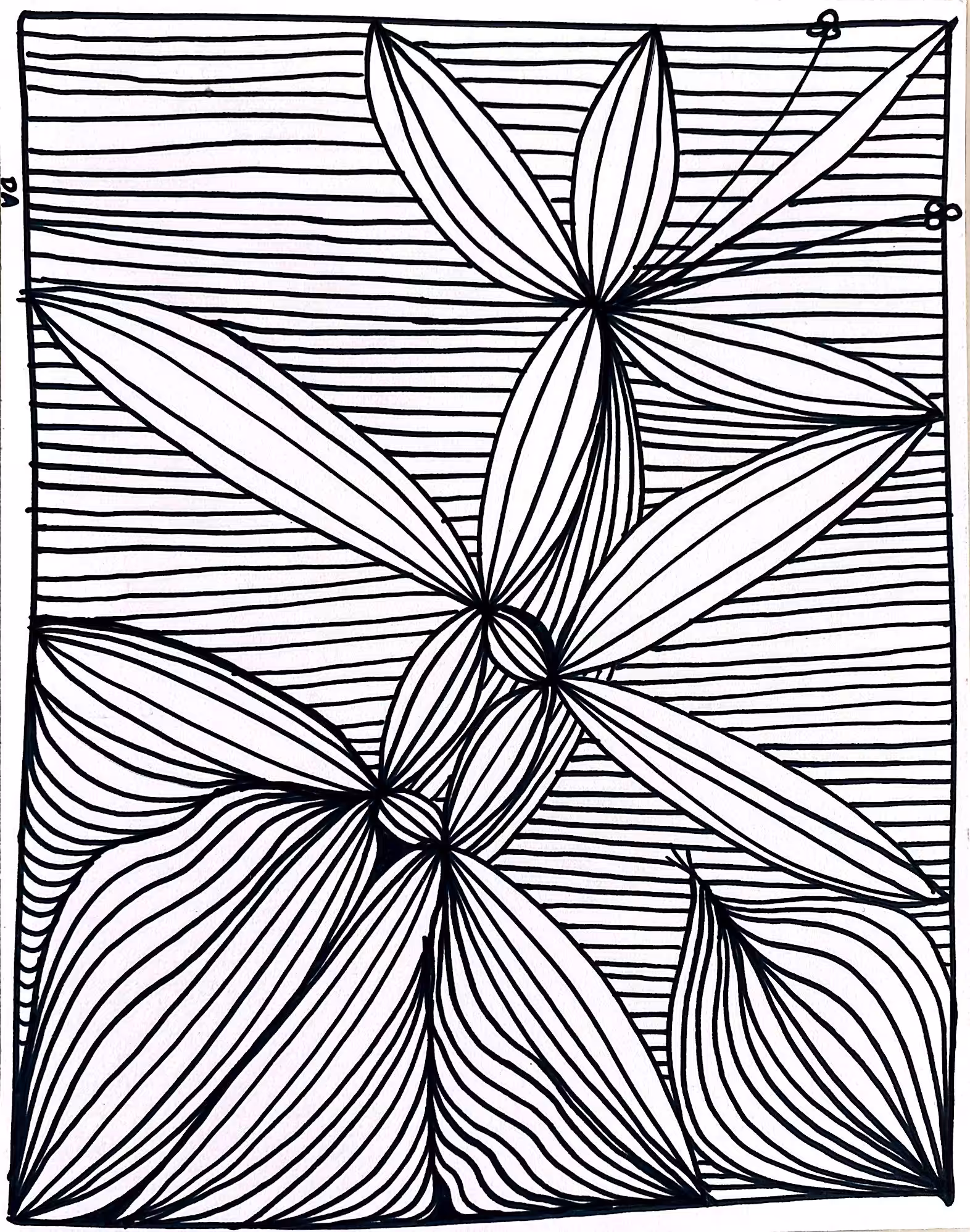 flowers and onion