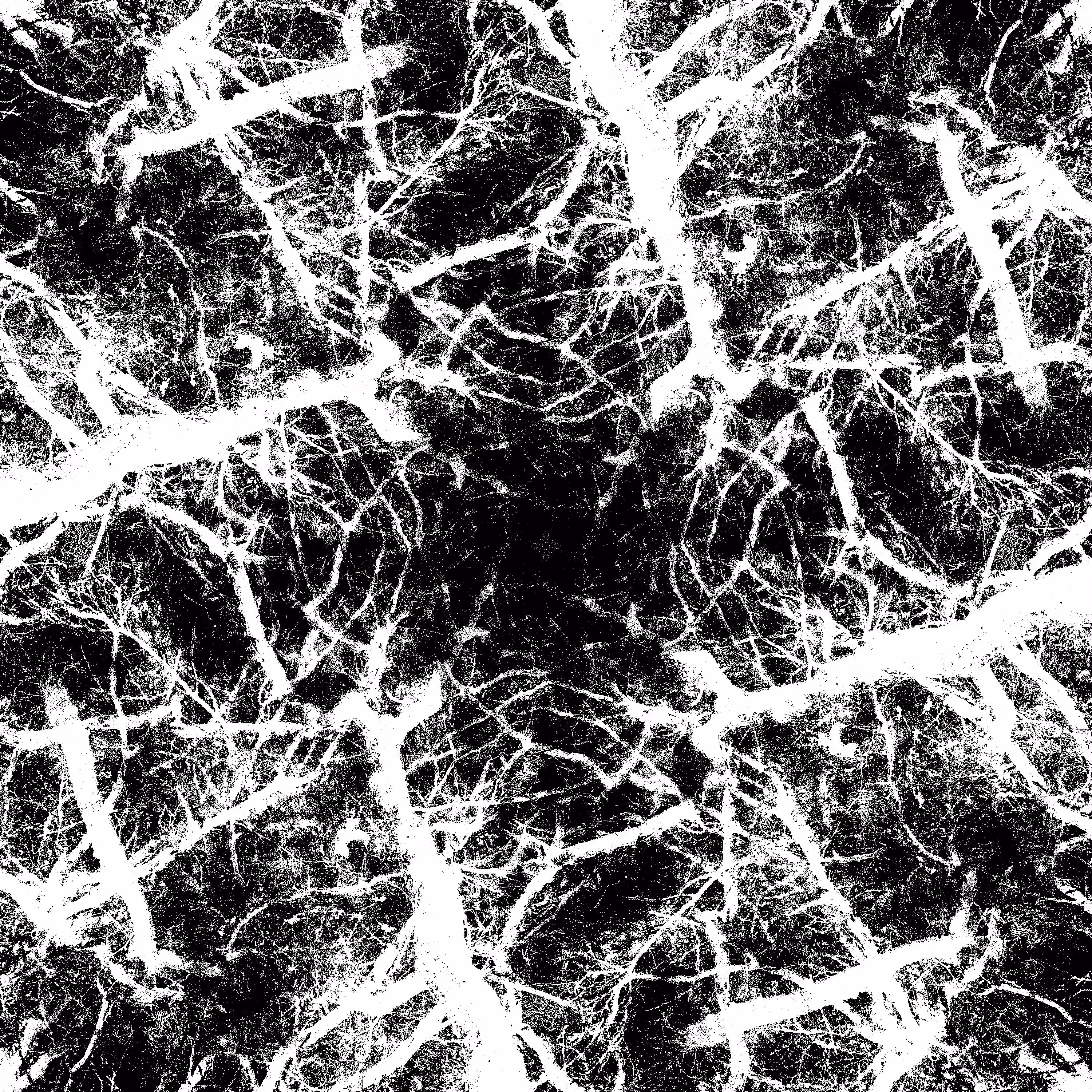 Machine Organic #2