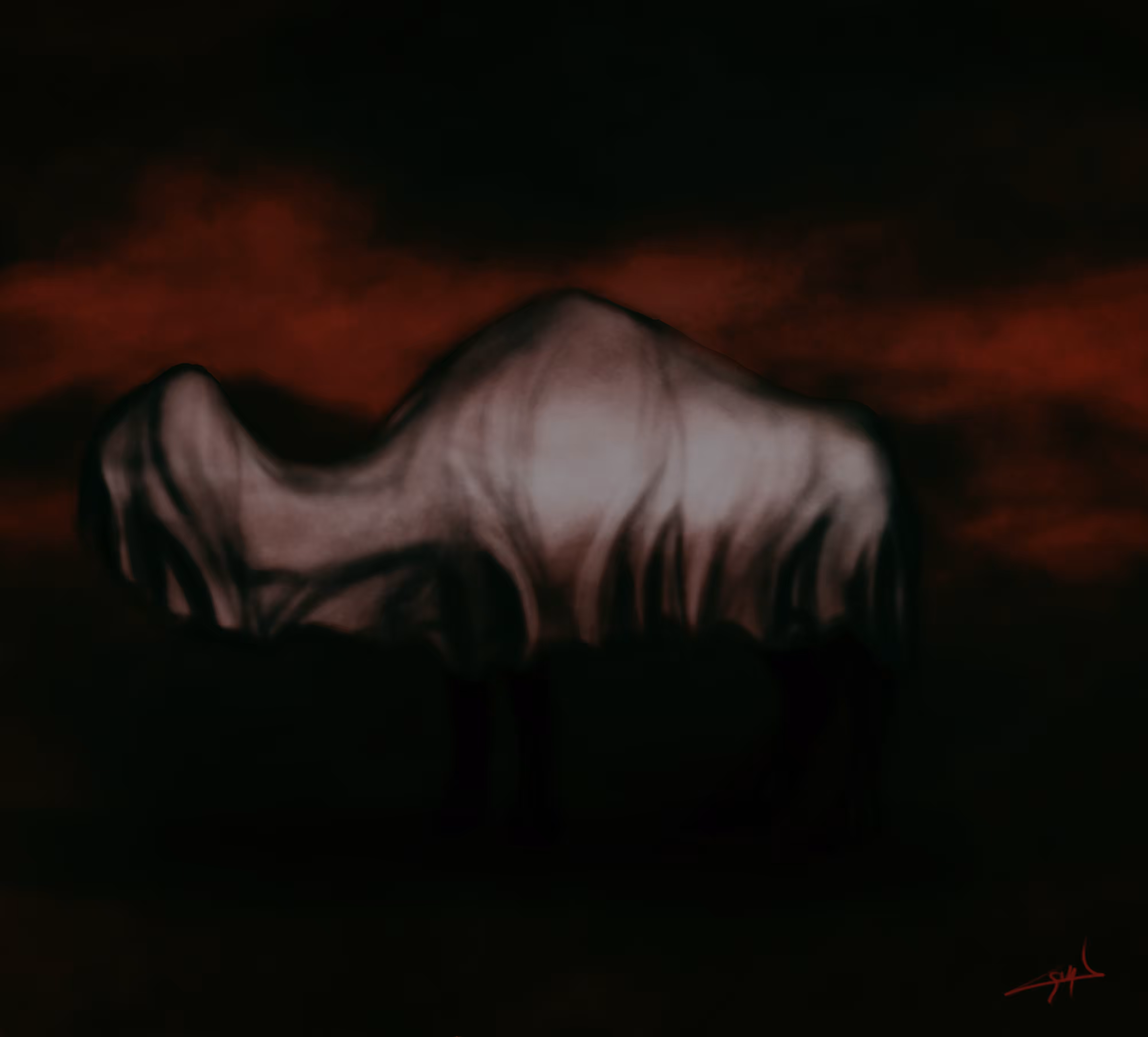 WANDERER