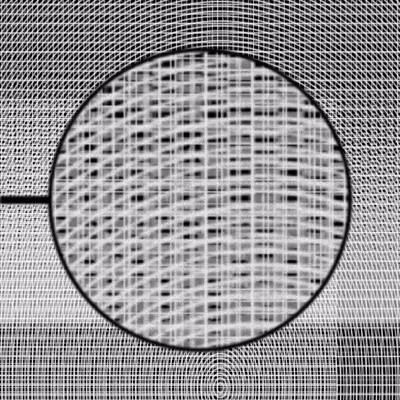 MICROSCOPY #12