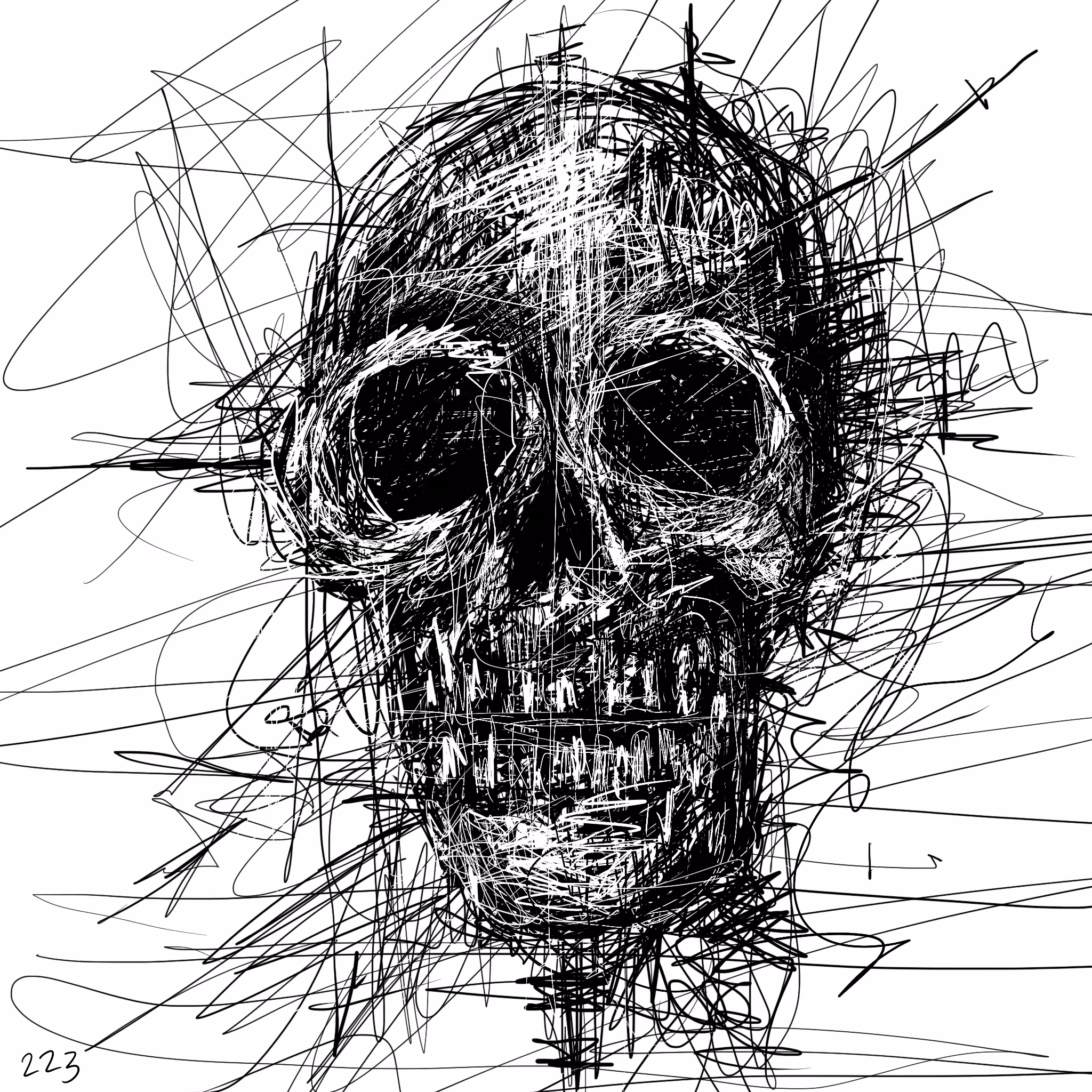 SKULLY #223