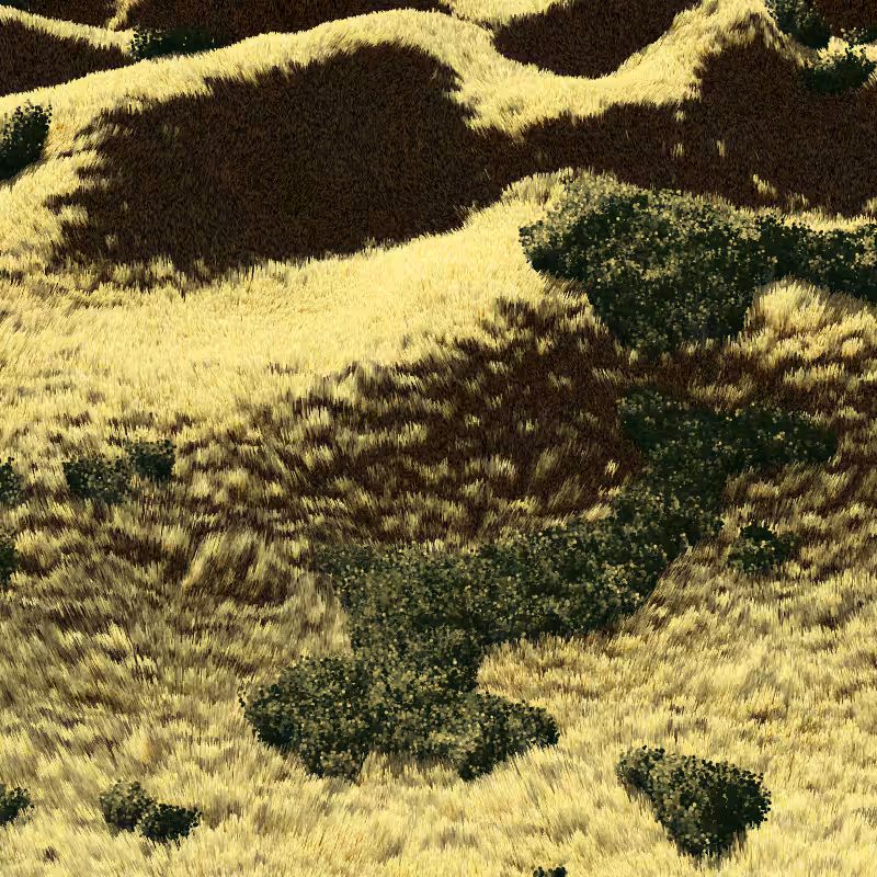 California Hills in Late Sun #198