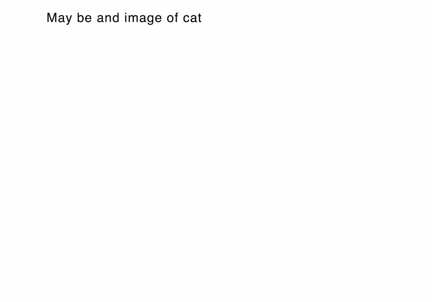 May be and image of cat