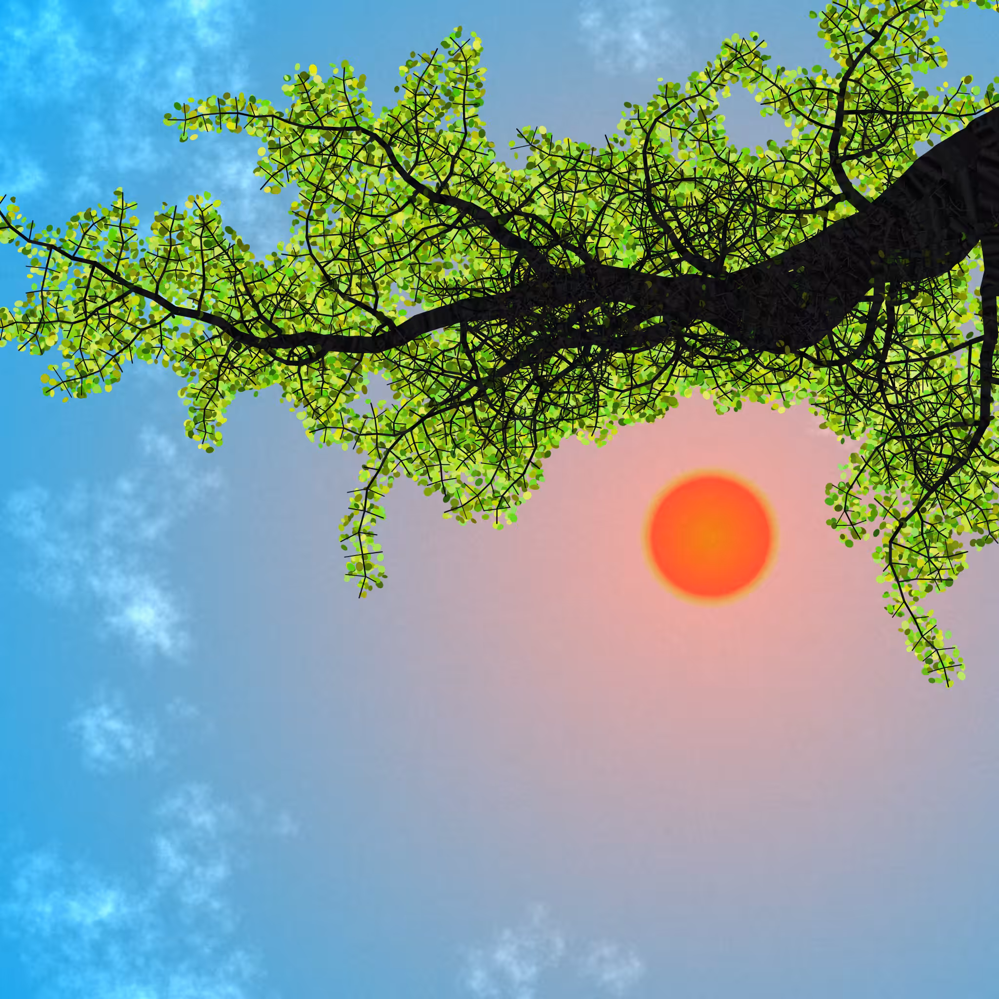 Tree Skyness #74