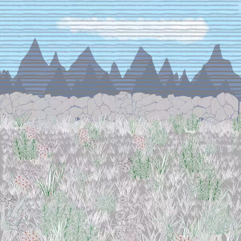 Mountain Meadows #4