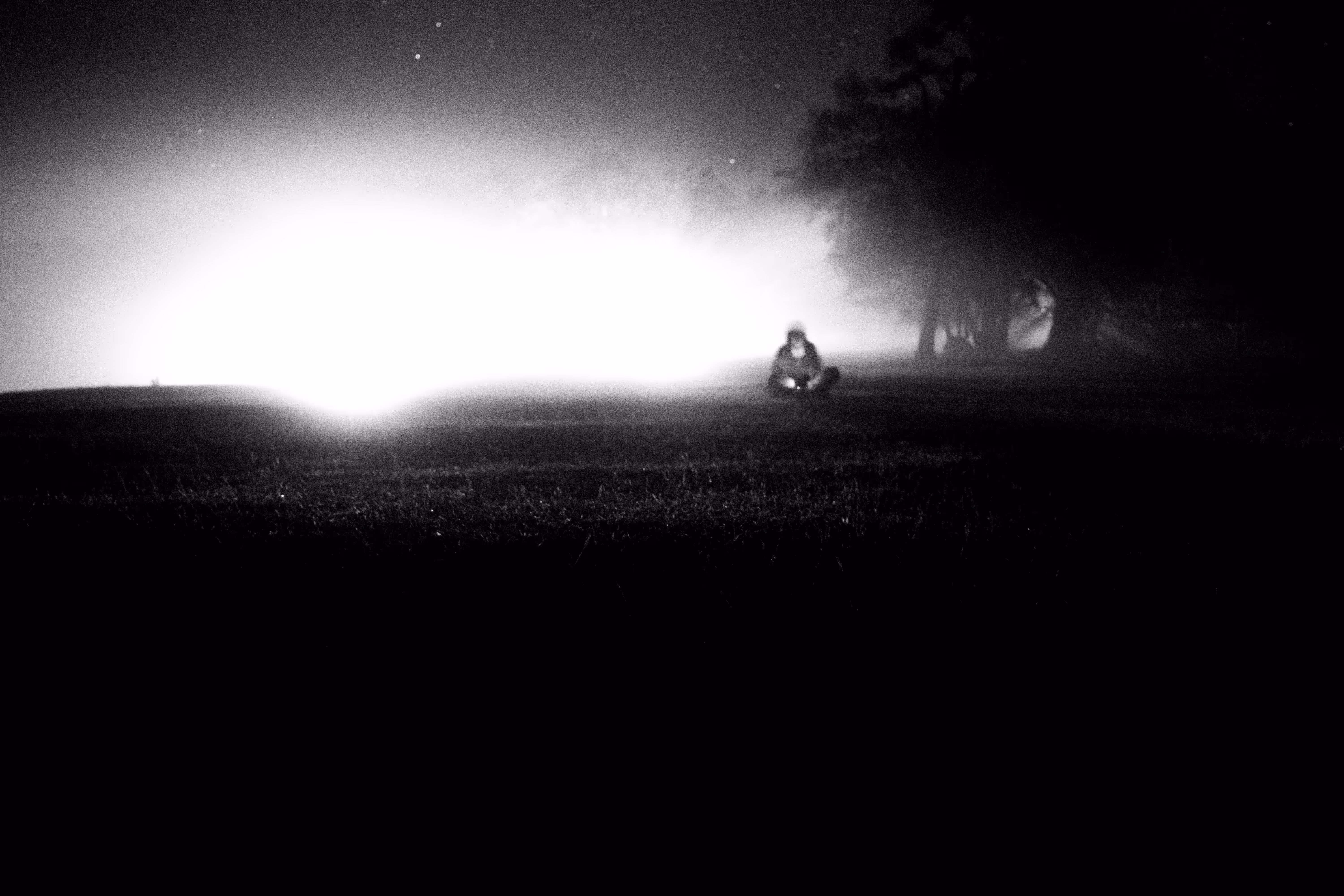Mystery night