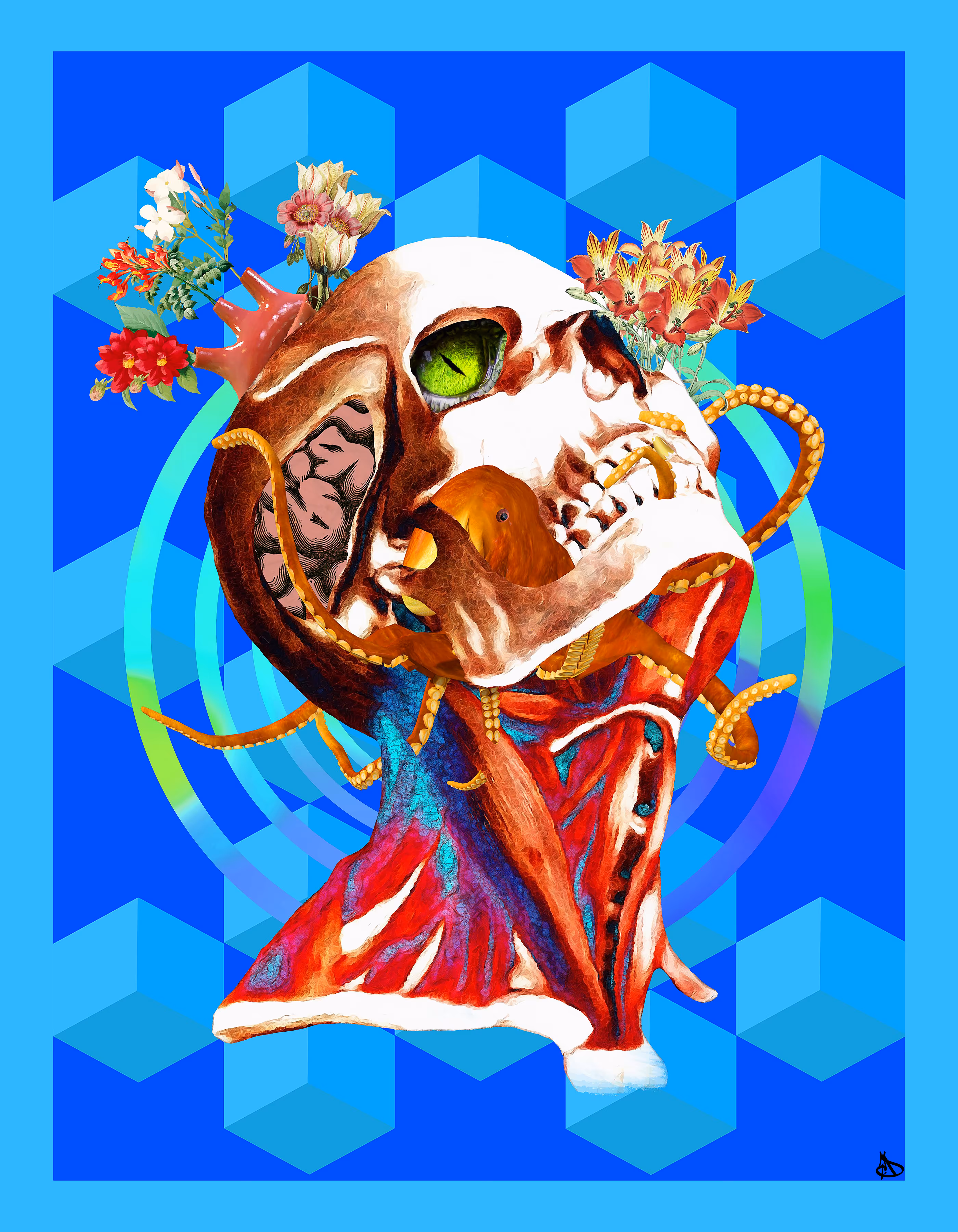 Meditation of Pain 2.0