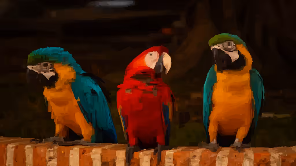 The Three Macaws - True Form