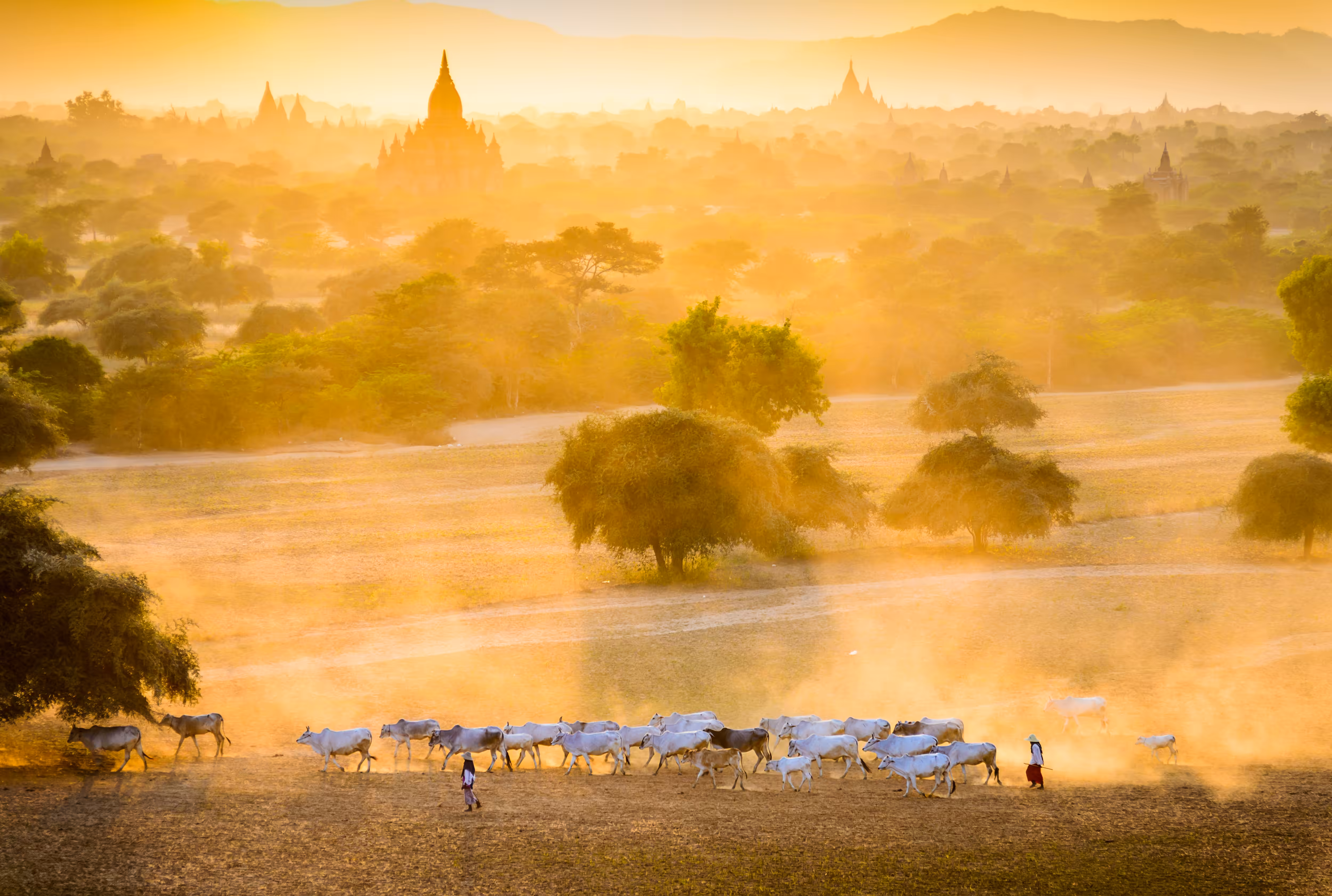 My Eyes on Myanmar