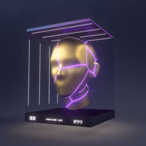 Fracture Boi: FRACTURE BOI - 099