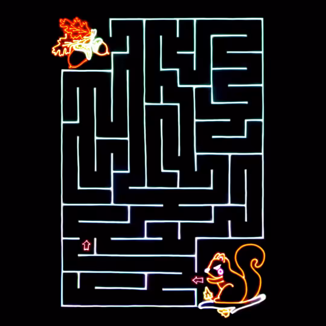 MAZE #17